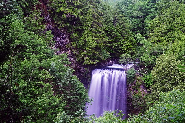 c0324983_23134503.jpg