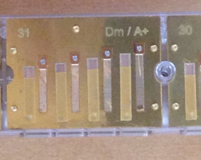 a0009196_1226356.jpg