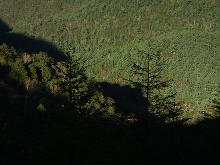 e0120896_649228.jpg