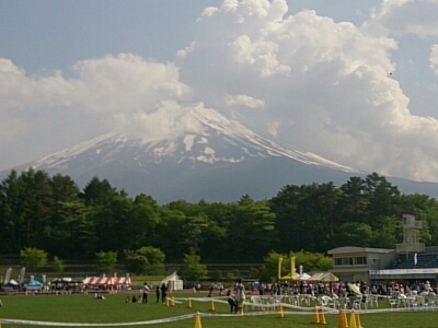 d0156797_61555.jpg