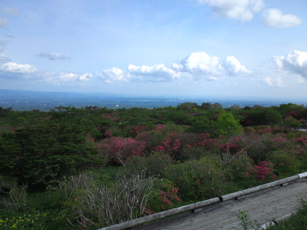 d0080998_00391344.jpg