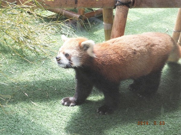 d0080998_00413640.jpg