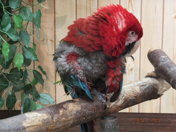 d0080998_00421250.jpg