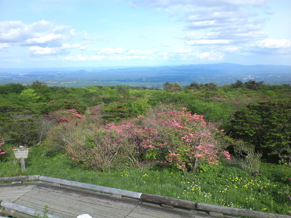 d0080998_22465571.jpg