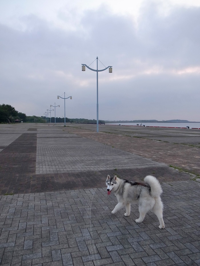 c0049299_21333415.jpg