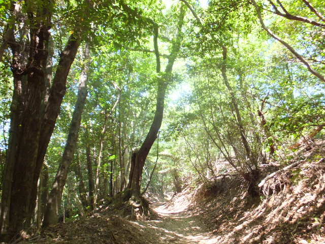 a0271502_17462327.jpg