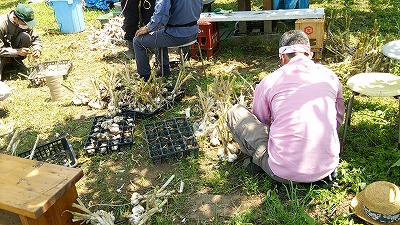 e0270403_1792320.jpg