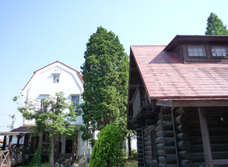 f0250403_13090675.png