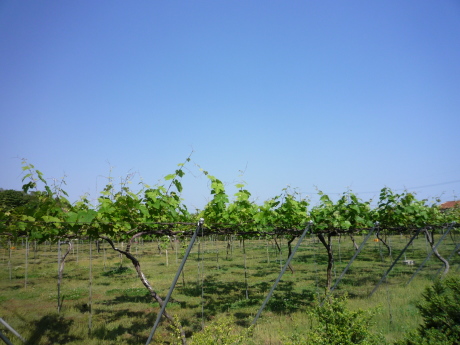f0250403_14050466.jpg