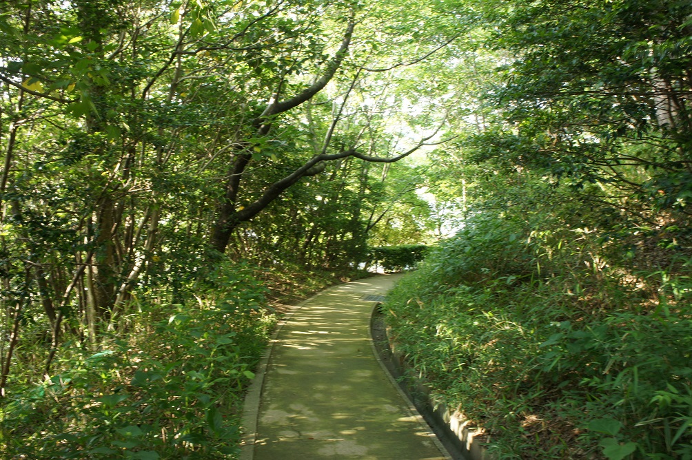 b0112909_1348447.jpg