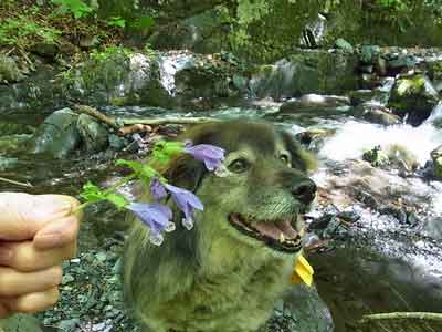 気温　３３度　　　2014.06.02_e0001110_633583.jpg