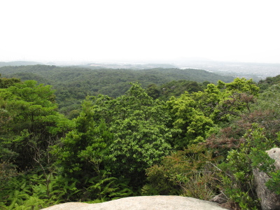 霜降山とグミ狩り_a0277812_19495835.jpg