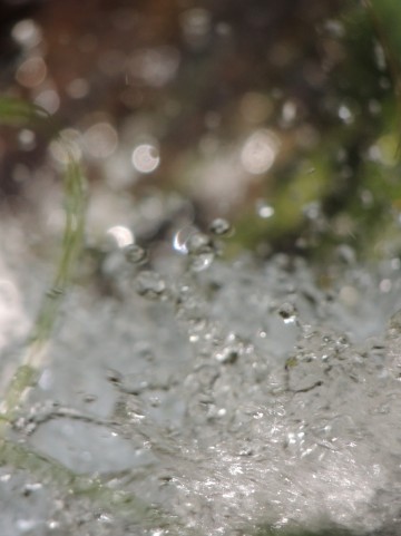 b0327513_11510699.jpg