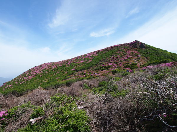d0198313_883259.jpg