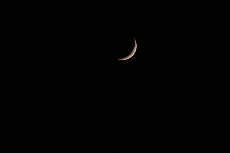 a0278914_1785931.jpg