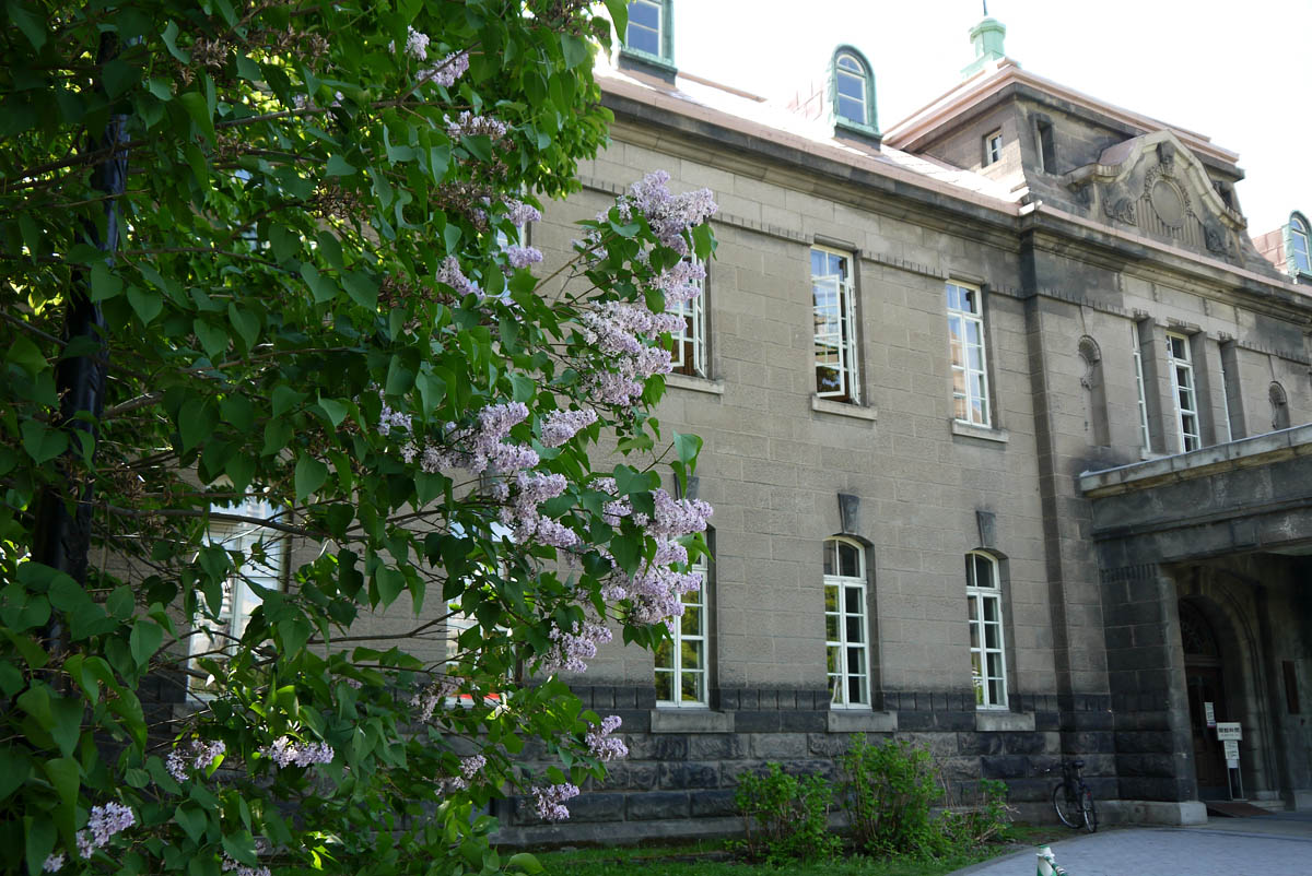 c0082715_10304953.jpg