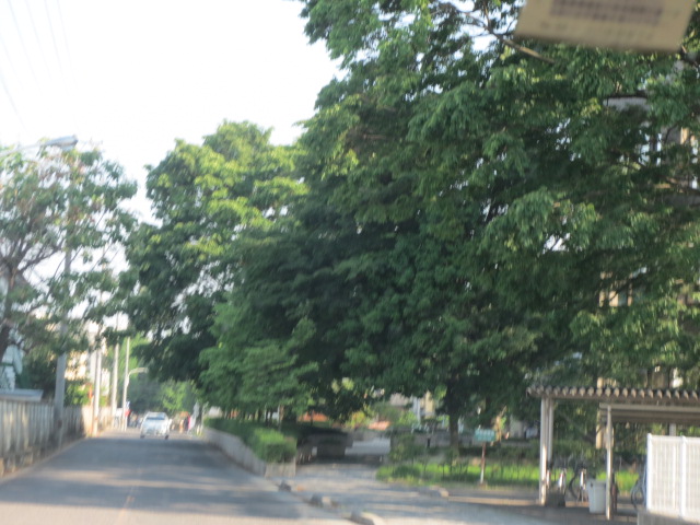 f0248616_10305.jpg
