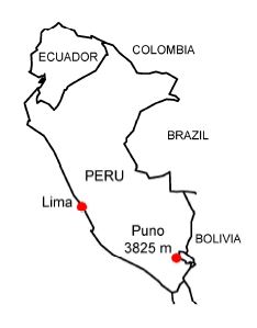 ペルーのプーノにおける赤血球増多症の頻度は4.5％_e0156318_22203156.jpg