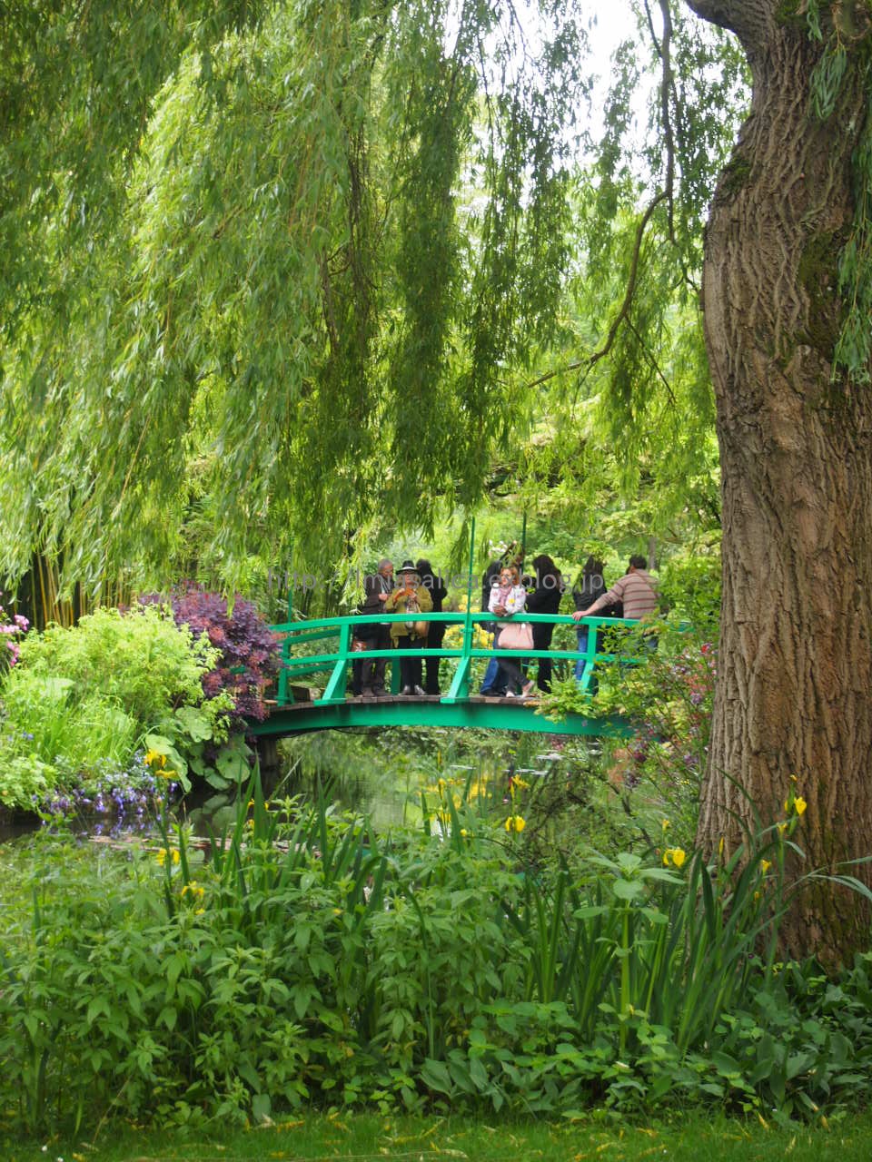 2014 / Mai /Paris ~Fleur＠Giverny~_c0172620_13411594.jpg