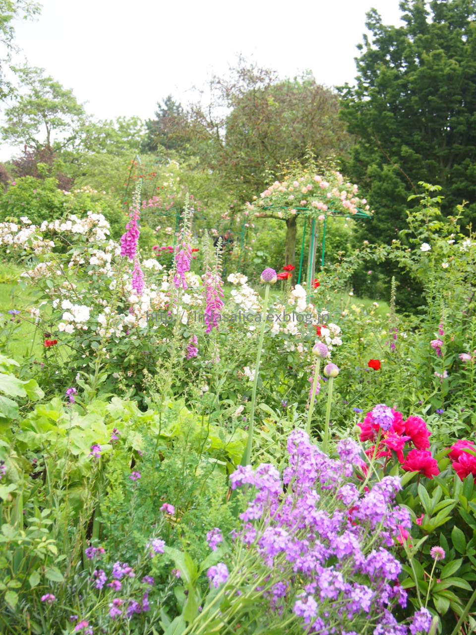 2014 / Mai /Paris ~Fleur＠Giverny~_c0172620_14205462.jpg