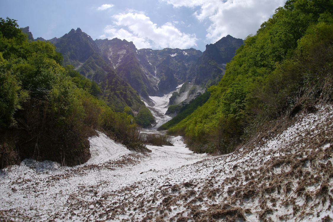 今時の一ノ倉沢雪渓は？_a0031821_16364680.jpg