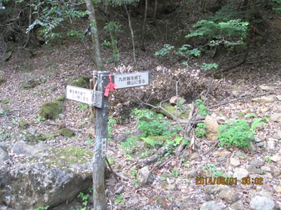 f0193521_19341143.jpg
