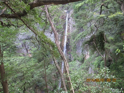 f0193521_19401321.jpg