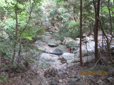 f0193521_19431280.jpg