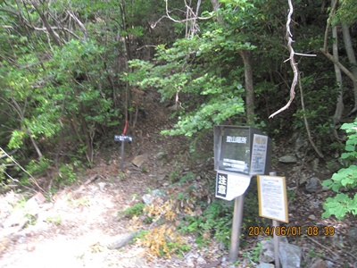 f0193521_19493643.jpg