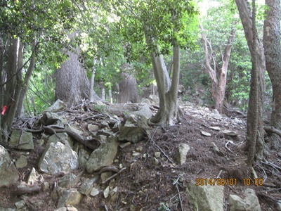f0193521_19541866.jpg