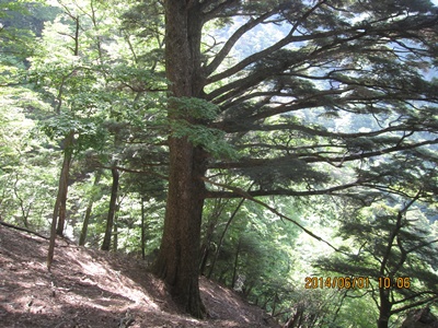 f0193521_19554476.jpg