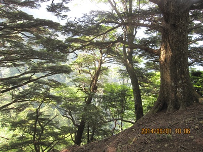 f0193521_1956377.jpg