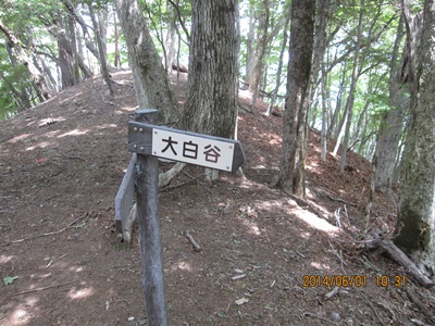 f0193521_2001230.jpg