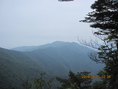 f0193521_2013873.jpg