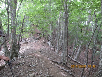 f0193521_2022437.jpg