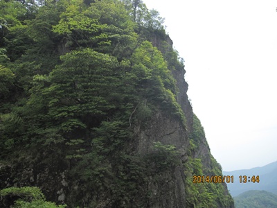 f0193521_2025349.jpg