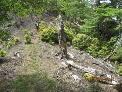 f0193521_2025551.jpg