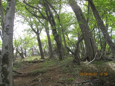 f0193521_20272176.jpg