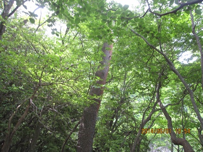 f0193521_2032623.jpg