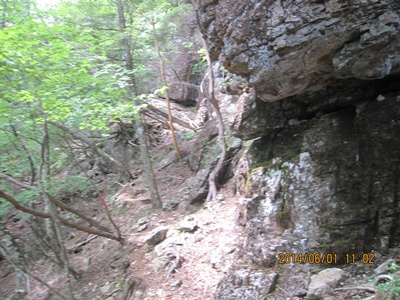 f0193521_2083348.jpg