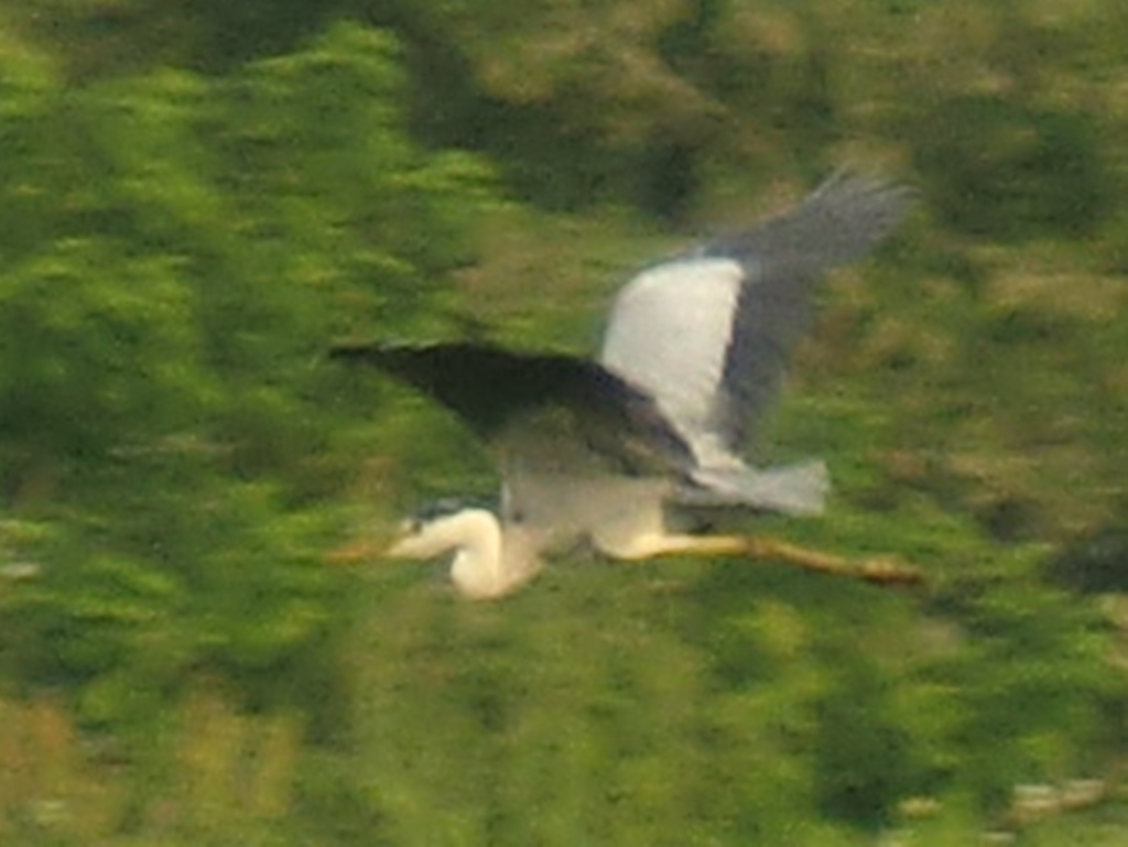 d0181824_101416.jpg