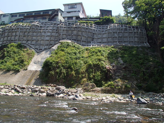 d0172227_5384381.jpg