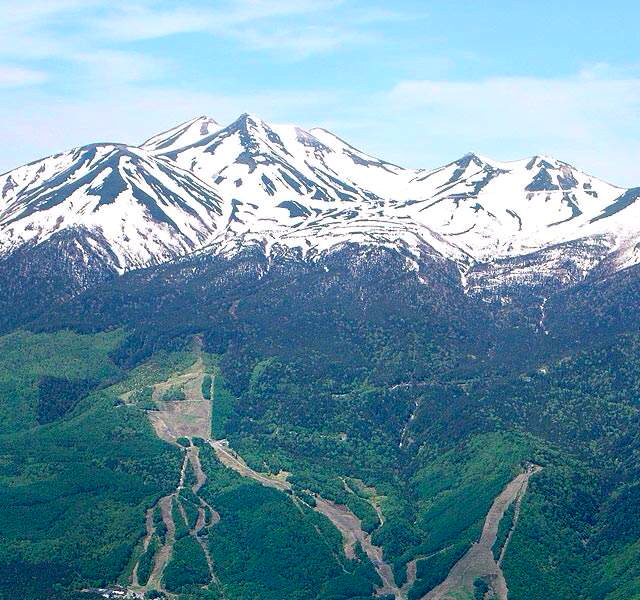 e0053327_20451234.jpg