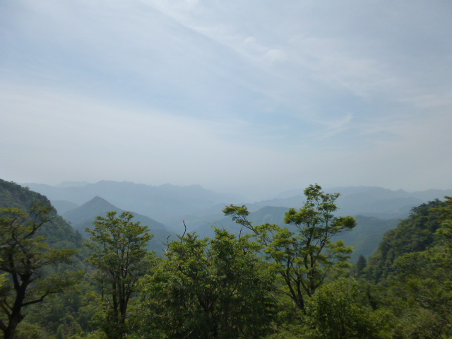 a0220528_16354830.jpg