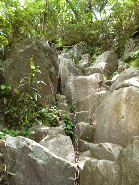 a0220528_16381631.jpg