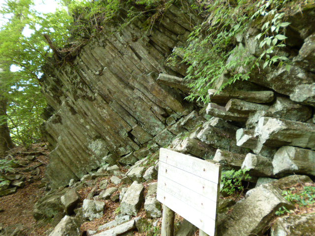 a0220528_16385626.jpg