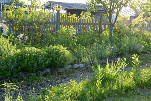 c0107129_574688.jpg