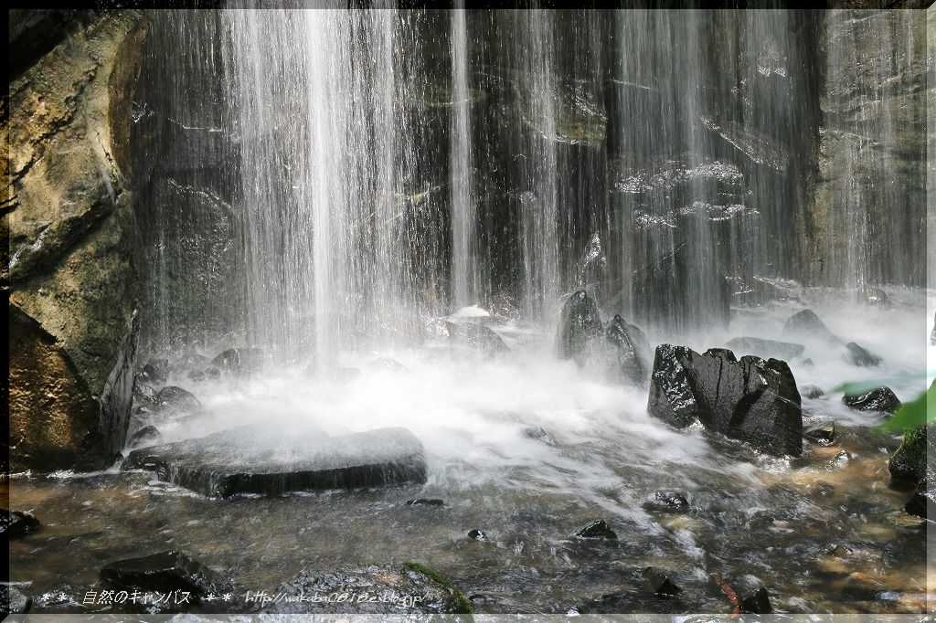 水のカ-テンで涼しげに～～_e0052135_175581.jpg