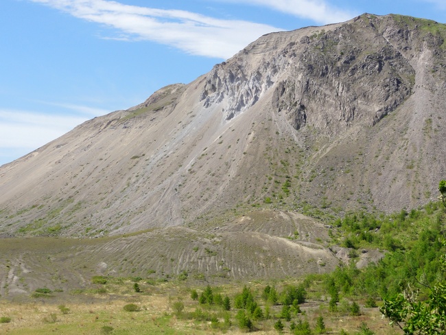d0235336_22453924.jpg