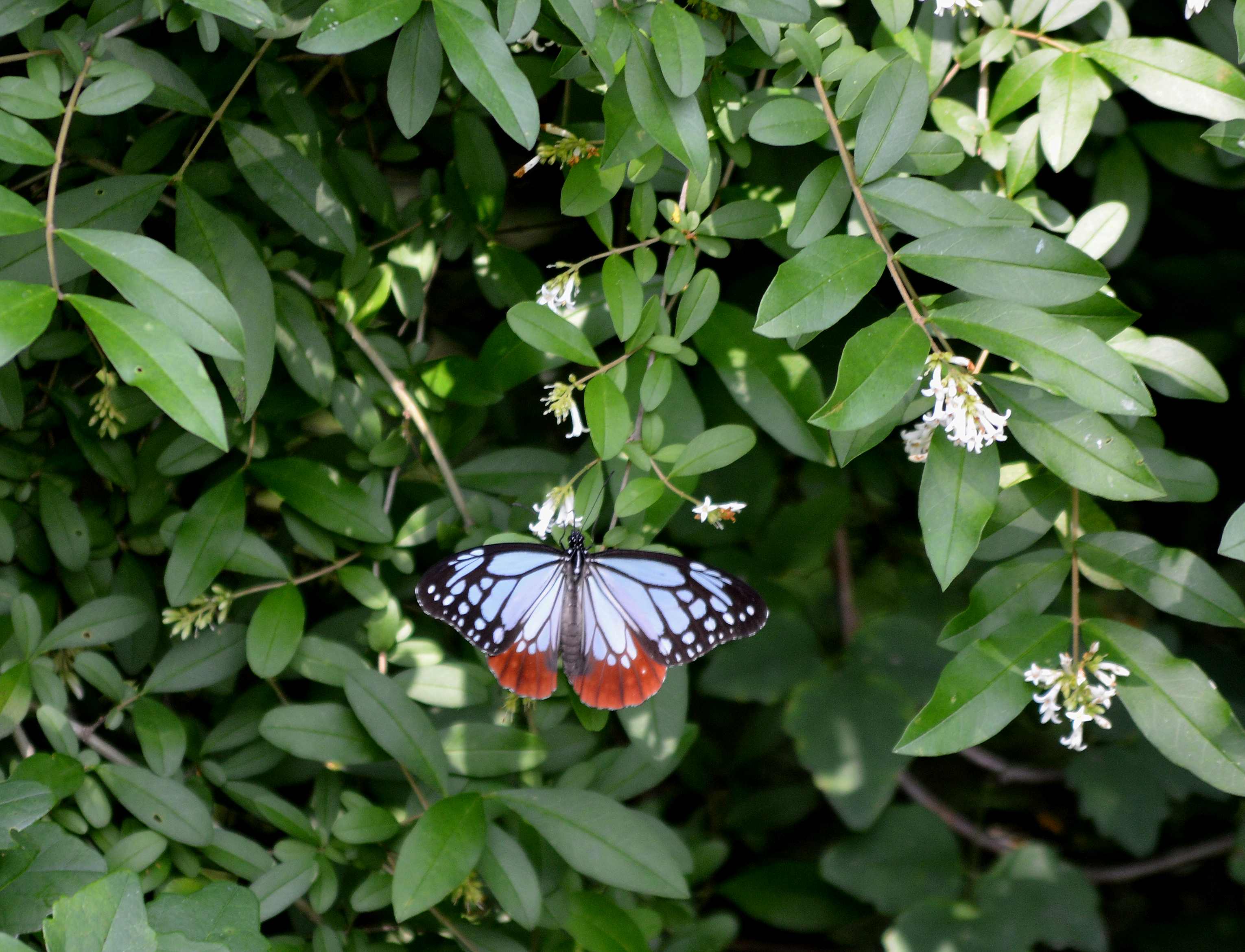 d0254540_543229.jpg